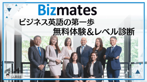 ビズメイツ無料体験で判明！レベルチェックは厳しい？体験者が語る真実