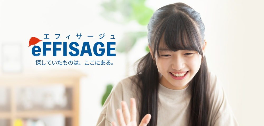eFFISAGE画像