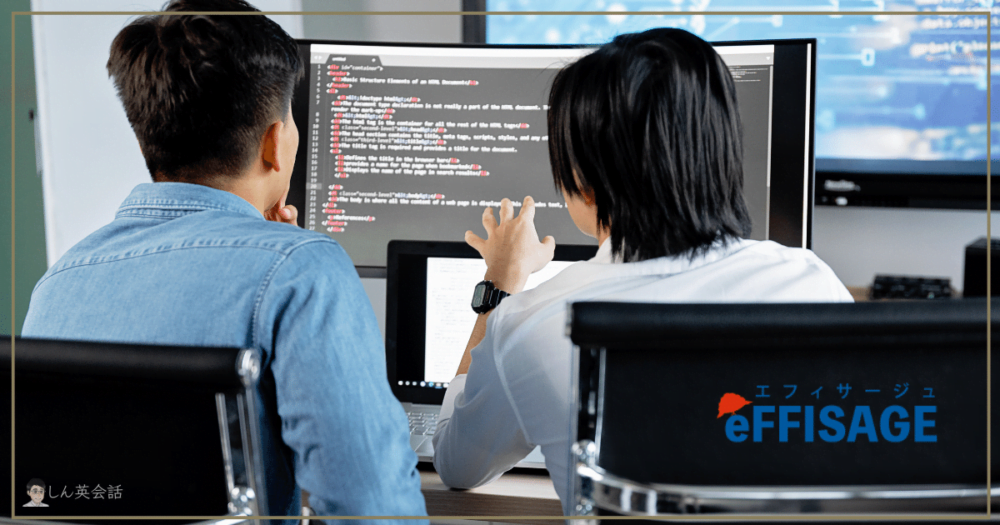eFFISAGEのプログラミング