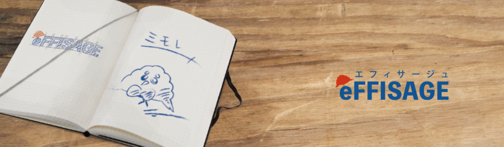 eFFISAGE